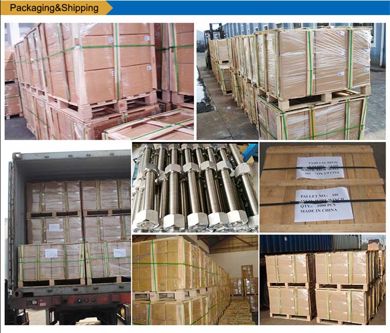 Ryðfrítt stál-Listi-Boltar-Skrúfa-festingar-pökkun